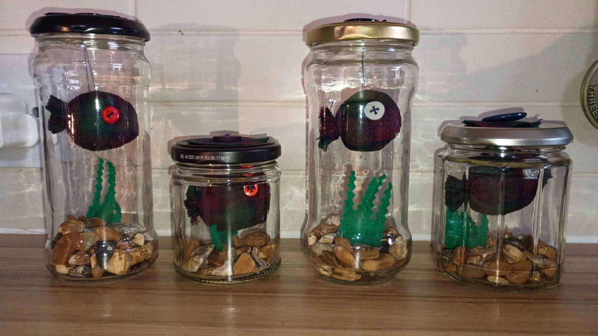 Goldfish in Jar